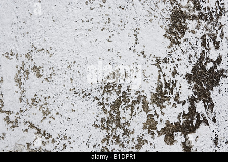 Black and white texture pattern on wall background, Skopelos, Greece Stock Photo