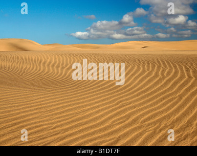 Las Dunas (dunes) at Maspalomas on Gran Canaria Stock Photo