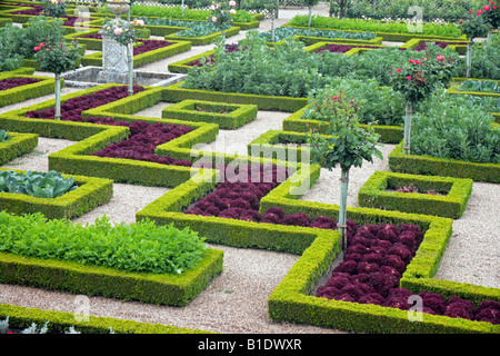 Chateau de Villandry ornamental vegetable garden Loire Valley Touraine Stock Photo