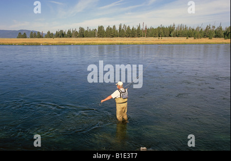A fly fisherman casts dry flies for rainbow trout on the world famous Clark s Fork of the Snake River Stock Photo