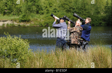 WILDLIFE PHOTOGRAPHERS   AT THE BWLCH NANT-YR-ARIAN VISITOR CENTRE IN RHEIDOL FOREST ,CAMBRIAN MOUNTAINS  MID WALES,UK. Stock Photo