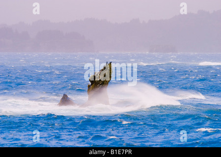 Wind driven waves crash on rocky point in storm Pacific Ocean Stock Photo