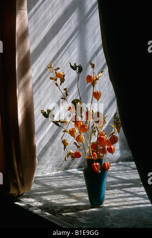Dried autumn flowers in vase in basement window USA Summer Stock Photo