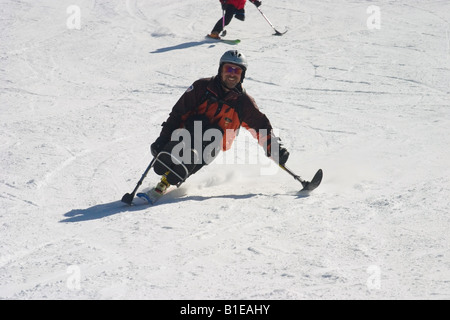 Speed skier on a mono ski at Les Arcs France Stock Photo - Alamy