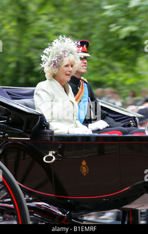 HRH Prince Harry, Prince William and the Duchess of Cornwall Returning to Buckingham Palace, Trooping the Colour 2008 Stock Photo