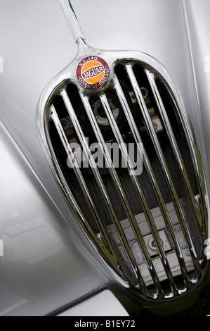 Jaguar XK140 Grill Stock Photo