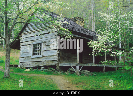 The Bud Ogle cabin Spring Great Smoky Mountains National Park Tennessee USA, by Bill Lea/Dembinsky Photo Assoc Stock Photo