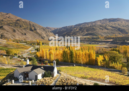 Mt Difficulty Wine Tasting Room and Autumn Colours Bannockburn Central Otago South Island New Zealand Stock Photo