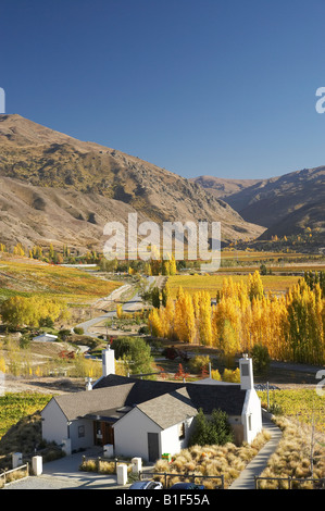 Mt Difficulty Wine Tasting Room and Autumn Colours Bannockburn Central Otago South Island New Zealand Stock Photo