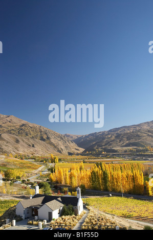 Mt Difficulty Wine Tasting Room and Autumn Colours Bannockburn Central Otago South Island New Zealand Stock Photo