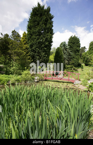 City of Preston, England. The bridge over the waterfall and pond at the Japanese Garden in Preston’s Avenham Park. Stock Photo