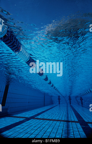 Swimming pool lane ropes underwater for gala races Stock Photo - Alamy