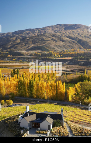 Mt Difficulty Wine Tasting Room and Autumn Colours Bannockburn Central Otago South Island New Zealand Stock Photo