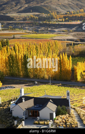 Mt Difficulty Wine Tasting Room and Autumn Colours Bannockburn Central Otago South Island New Zealand Stock Photo