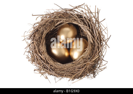 Bird s nest with three golden eggs cut out on white background Stock Photo
