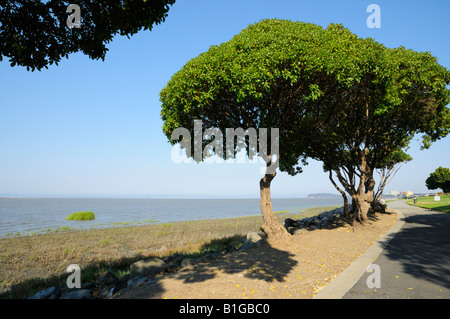 The Bay Area coast towards Coyote Point, Millbrae CA Stock Photo