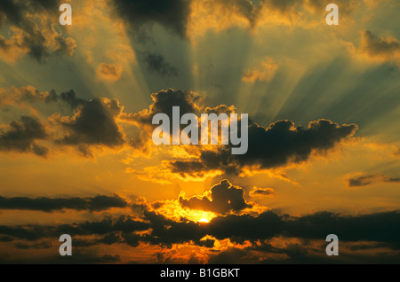 Crepuscular rays and beams at sunrise Michigan USA Stock Photo