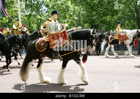 One of the Two Magnificent Drum Horses that Lead the Mounted Band in ...