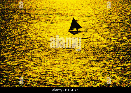 Boating Biscayne Bay, Miami Stock Photo - Alamy
