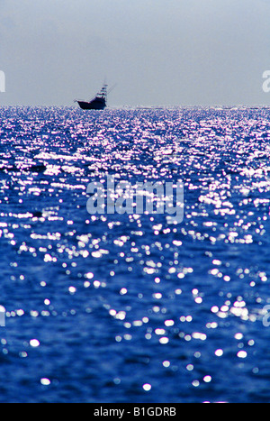 Boating Biscayne Bay, Miami Stock Photo - Alamy