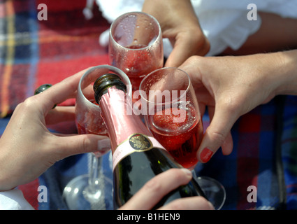 Pink champagne and strawberries for a picnic at Devonshire Park Eastbourne UK Stock Photo