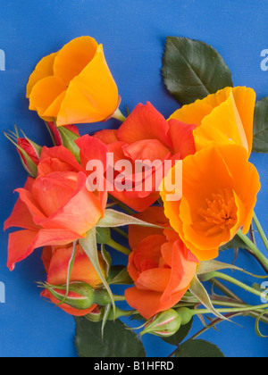 posy red roses californian poppies geranium Stock Photo - Alamy