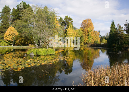 Van dusen botanical gardens vancouver Stock Photo