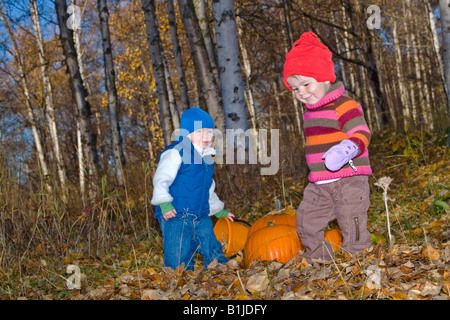 Two young girl toddlers playing in the Fall leaves next to pumpkins in a forested area of Anchorage in Southcentral Alaska Stock Photo