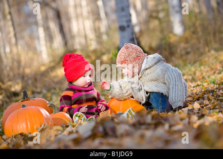 Two young girl toddlers playing in the Fall leaves next to pumpkins in a forested area of Anchorage in Southcentral Alaska Stock Photo