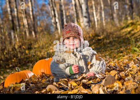 Young girl toddler playing in the Fall leaves next to pumpkins in a forested area of Anchorage in Southcentral Alaska Stock Photo