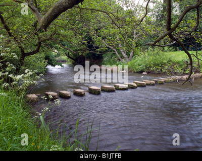 Stepping stones over the River Esk at Lealholm on the North York Moors National Park. Stock Photo