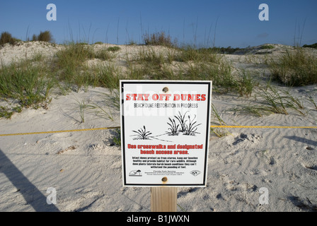 beach sand dune restoration area at St George State Park Florida panhandle Stock Photo