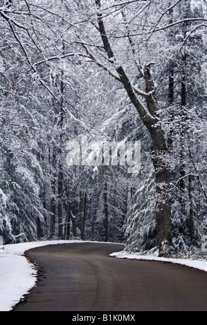 Winding Road through Snow Covered Forest in Red River Gorge Geological Area Kentucky Stock Photo