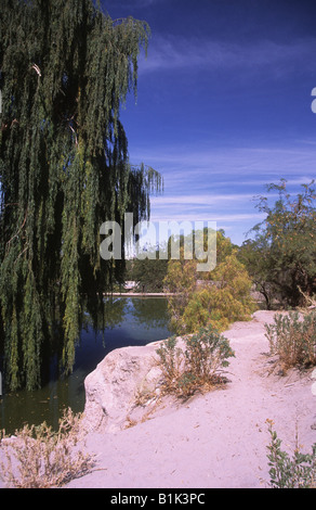 The oasis in Toconao, near San Pedro de Atacama, Chile Stock Photo