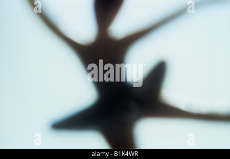 Impressionistic close up from behind of model of ballerina silhouetted balanced on one leg with arms outstretched Stock Photo