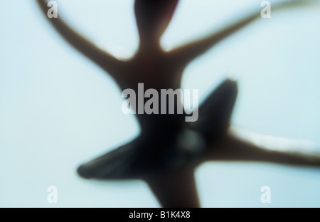 Impressionistic close up from behind of model of ballerina silhouetted balanced on one leg with arms outstretched Stock Photo