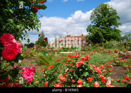 Gardens of the Rose, Chiswell Green, St. Albans, Hertfordshire, England, United Kingdom Stock Photo