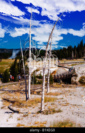 Image looking down and following the long winding wooden boardwalk trail that wanders through the pools of the Old Faithful Geys Stock Photo