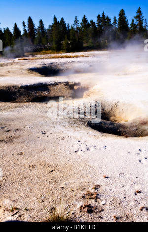 Image looking out over a series of steaming fumaroles in the West Thumb Geyser Basin in Yellowstone National Park Stock Photo