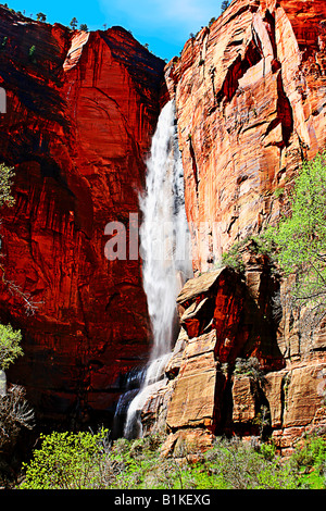 Image looking up at Weeping Rock as a freak spring waterfall gushes down in Zion National Park Utah State Stock Photo