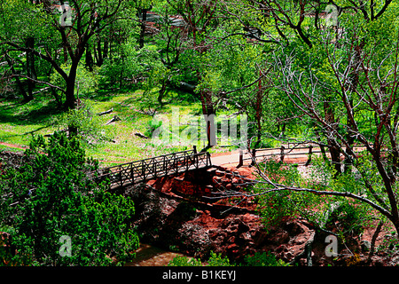 Image looking down on The Grotto Footbridge from The Emerald Pools Trail in Zion National Park Utah State Stock Photo