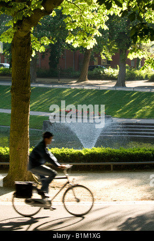 man on bicycle early morning in the park Man in motion blur Stock Photo