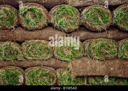 Stack of rolled grass sod or turf for landscaping Stock Photo - Alamy