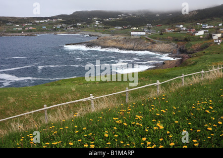 Rugged coastline at the Town of Flatrock in Northern Avalon Peninsular of Newfoundland and Labrador in Canada Stock Photo