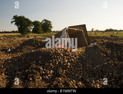 Heaps of food lying discarded on a rubbish tip next to farmland in Essex. Stock Photo