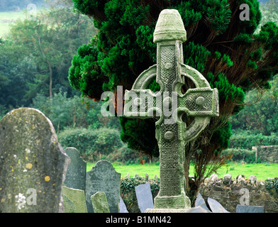 The North Cross, one of the 2 Ahenny Celtic high crosses in monastic site of Kilclispen, Carrick-on-Suir, Co. Tipperary, Ireland Stock Photo
