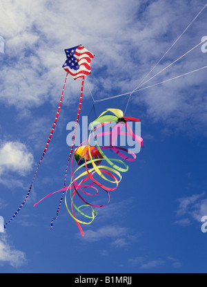Kites flying over a beach on a summer day in Lincoln City, Oregon Stock Photo