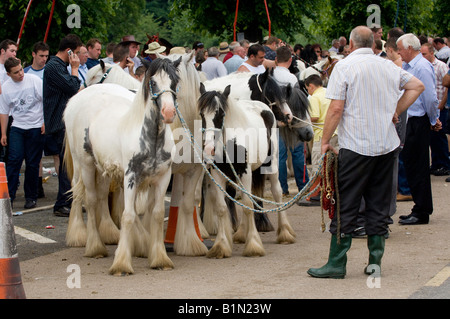 Horse dealers at Appleby horse Fair with horses to sell Stock Photo