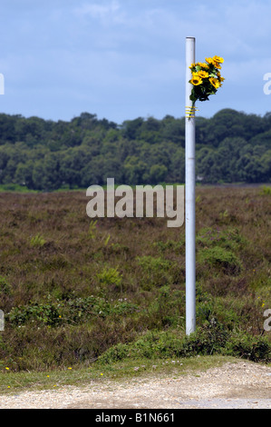 a bunch of artificial sunflowers tied to a roadside post a shrine to someone killed in a car accident Stock Photo