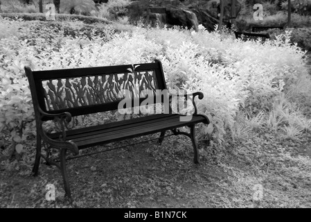 Infrared Black Bench and White Foilage Stock Photo